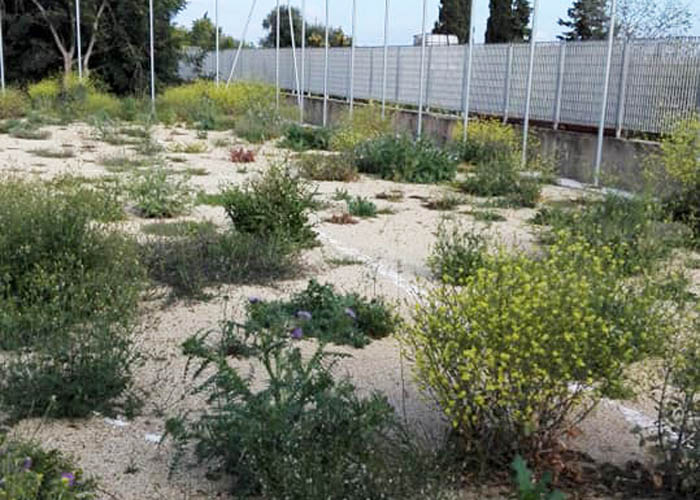 SAN VITO, La denuncia: “Il nuovo campo di calcetto è un’incompiuta, Piazza Baccoi abbandonata”