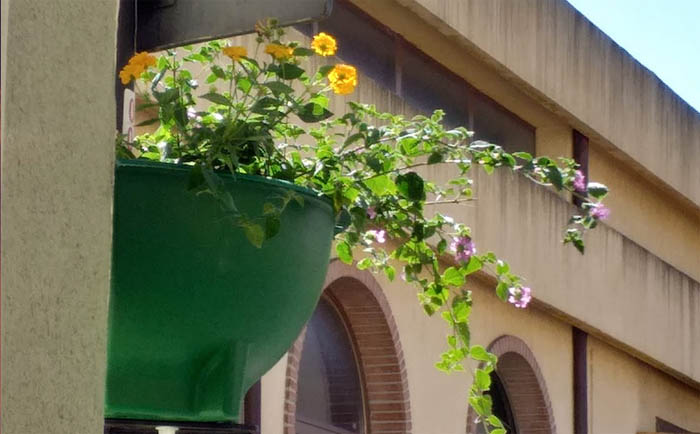 LA LETTERA. Che senso hanno le fioriere “aeree” in via Nazionale a Villaputzu?