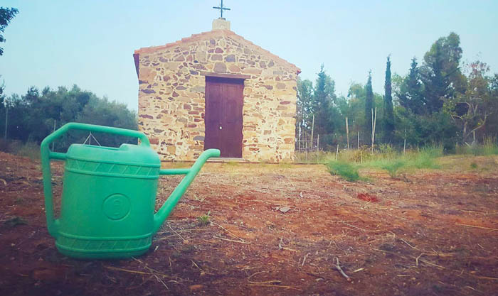 MURAVERA, L’appello: “Manca l’acqua per le piantine nel piazzale della chiesa di San Giovanni”