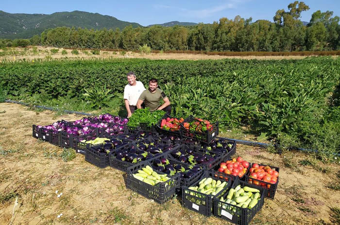 CASTIADAS, I prodotti agricoli locali negli hotels, il paese riparte dal «chilometro zero»