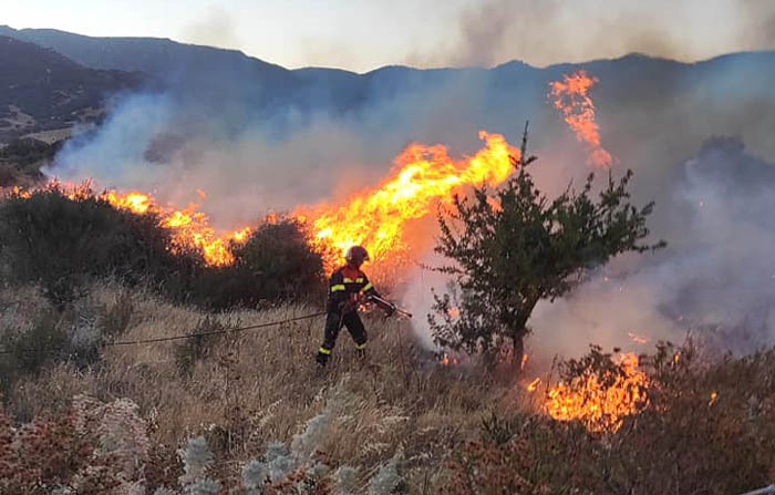 VILLASIMIUS, Rogo nei pressi della zona industriale, decisivo l’intervento della Crov e della Forestale