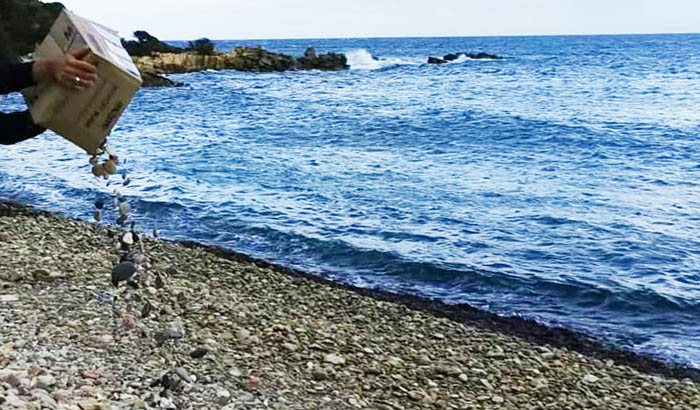 VILLASIMIUS, 240 chili di sassi e ciottoli “rubati” riportati sulle spiagge del paese
