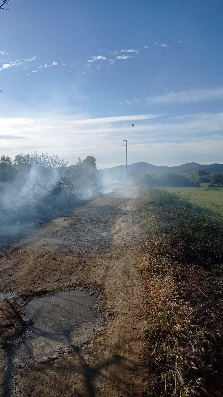 MURAVERA, L’incendio in un canneto minaccia un caseificio