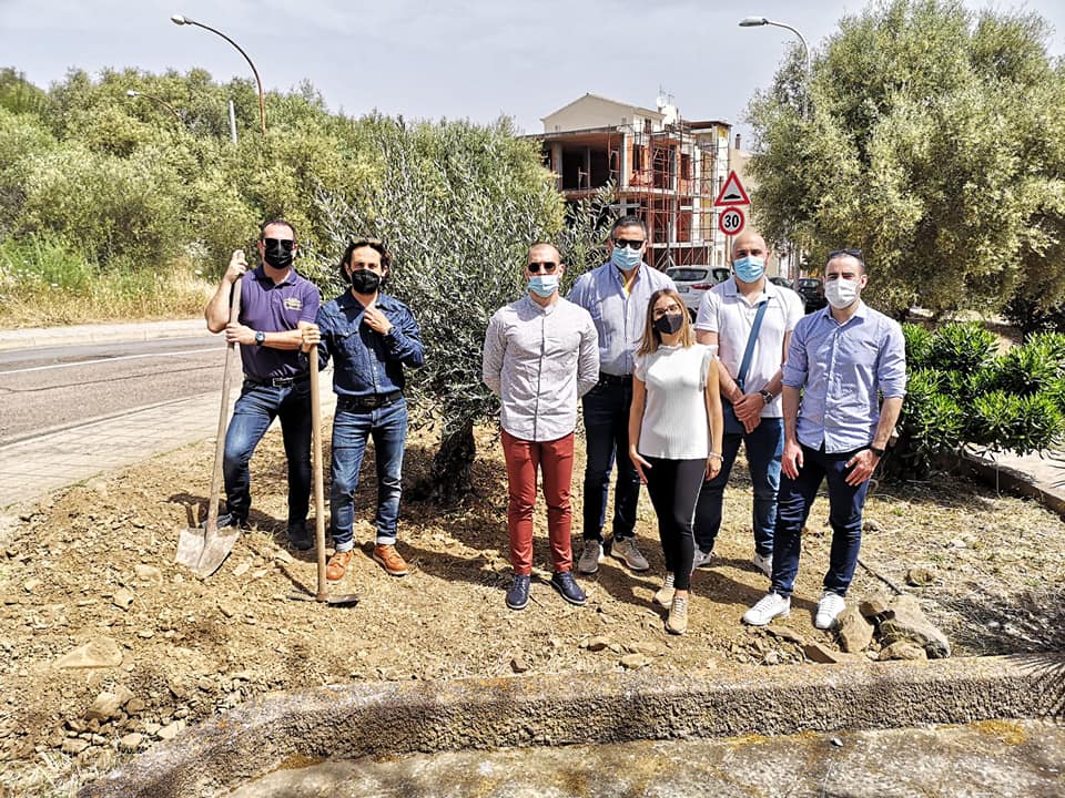 MURAVERA, Un ulivo secolare per la piazza di Bella