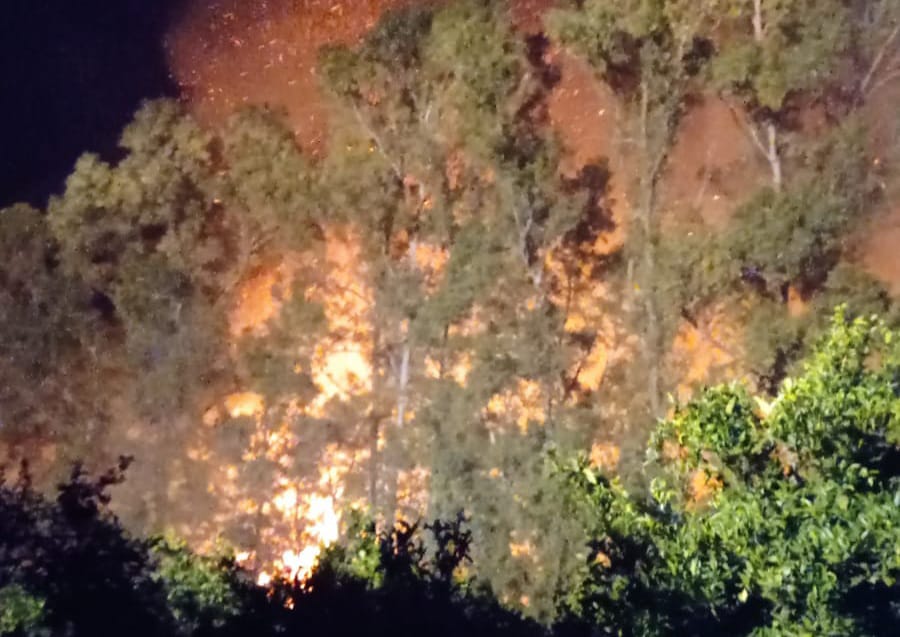 CASTIADAS, Processo per il 49enne presunto responsabile dell’incendio del 2021 a Olia Speciosa