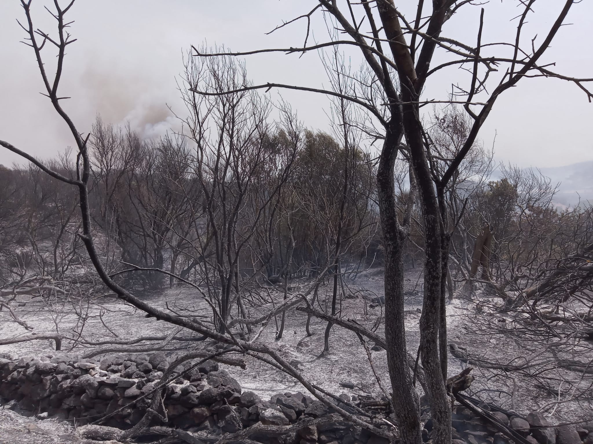 INCENDI, Fondo di solidarietà e raccolta fondi della Diocesi di Alghero-Bosa