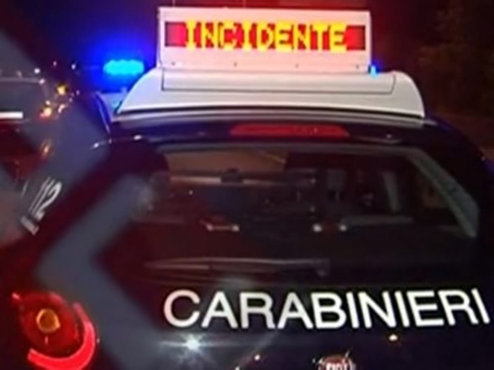 COSTA REI, Incidente stradale causato da una pecora, allevatore denunciato per omessa custodia