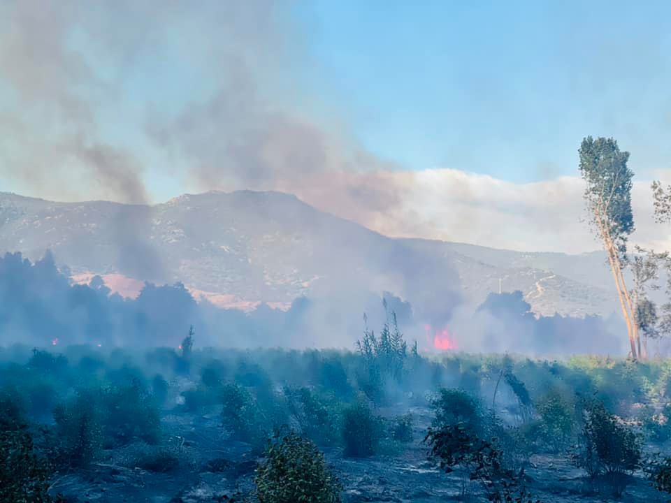 VILLAPUTZU, Incendio nella zona del castello di Quirra