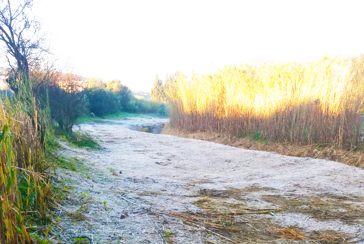 VILLASIMIUS, Lo spettacolo delle campagne ricoperte di brina