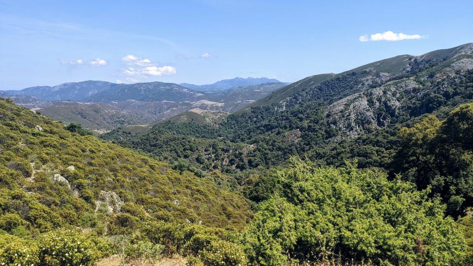 SARRABUS, Dalla Regione 237mila per il patrimonio boschivo a Muravera, Villaputzu e San Vito