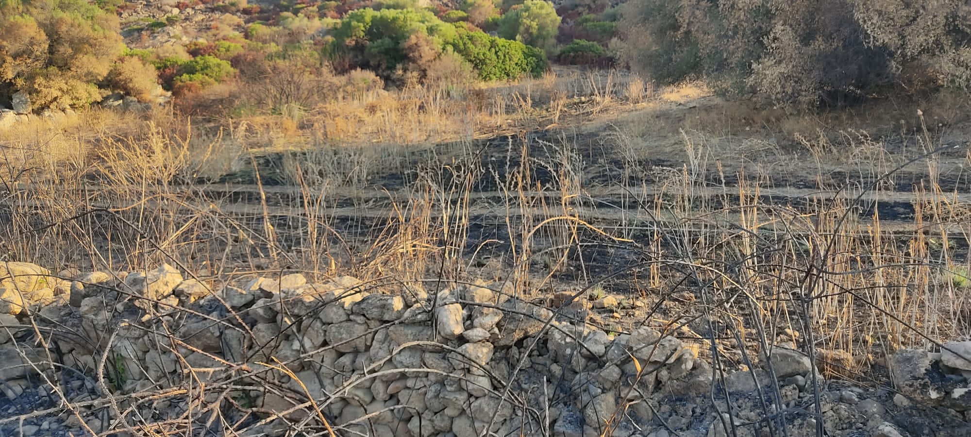 SARRABUS, Incendi e strade invase da detriti e verde selvatico a Piddia