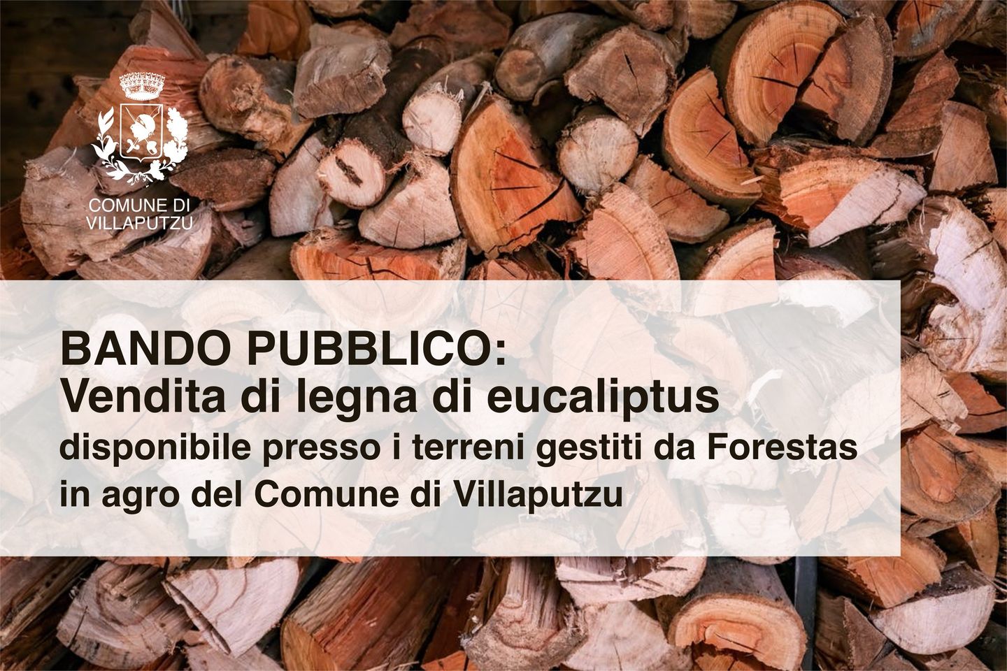 VILLAPUTZU, Bando per l’acquisto di legna