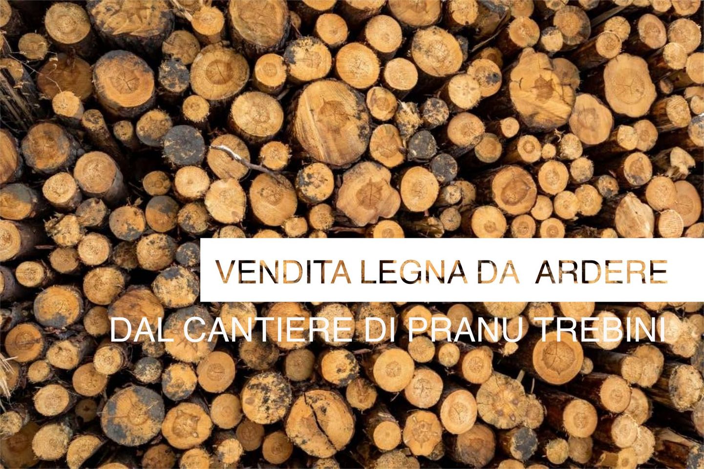 VILLAPUTZU, Acquisto legnatico dal cantiere comunale di Pranu Trebini
