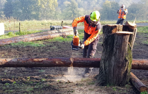 SAN VITO, Assunzioni per il cantiere forestale, via alle domande