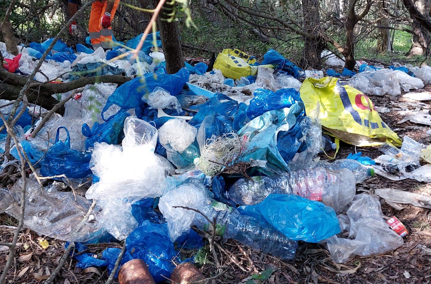 CASTIADAS, Operazione pulizia per le spiagge del paese
