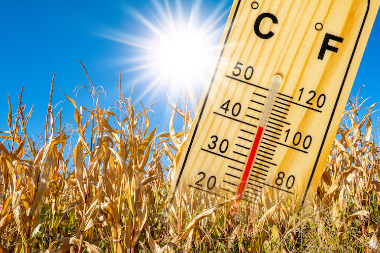 SARDEGNA, Allerta caldo, nel weekend punte fino a 40 gradi