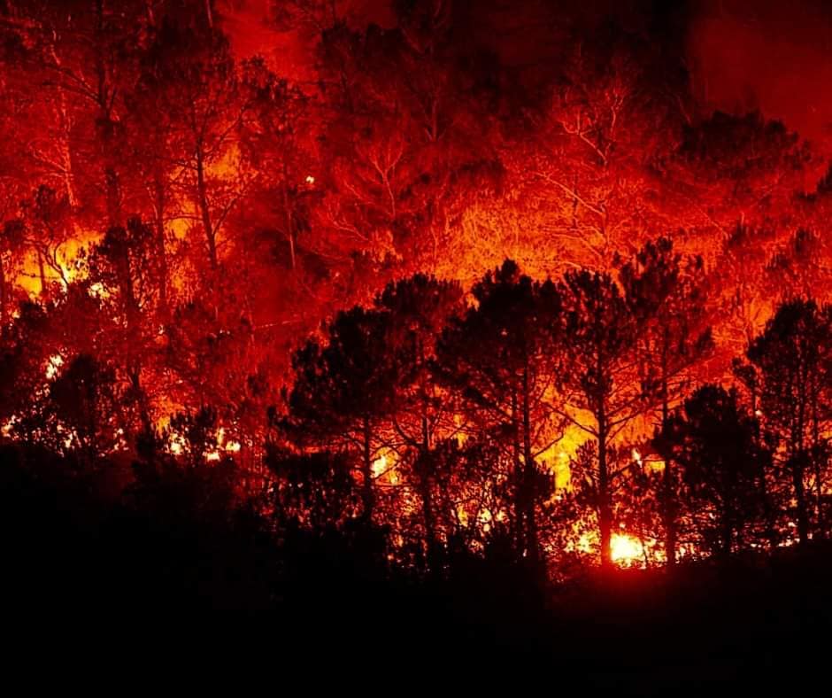 MURAVERA, Incendi a Feraxi e Costa Rei, la Giunta comunale delibera stato di calamità naturale