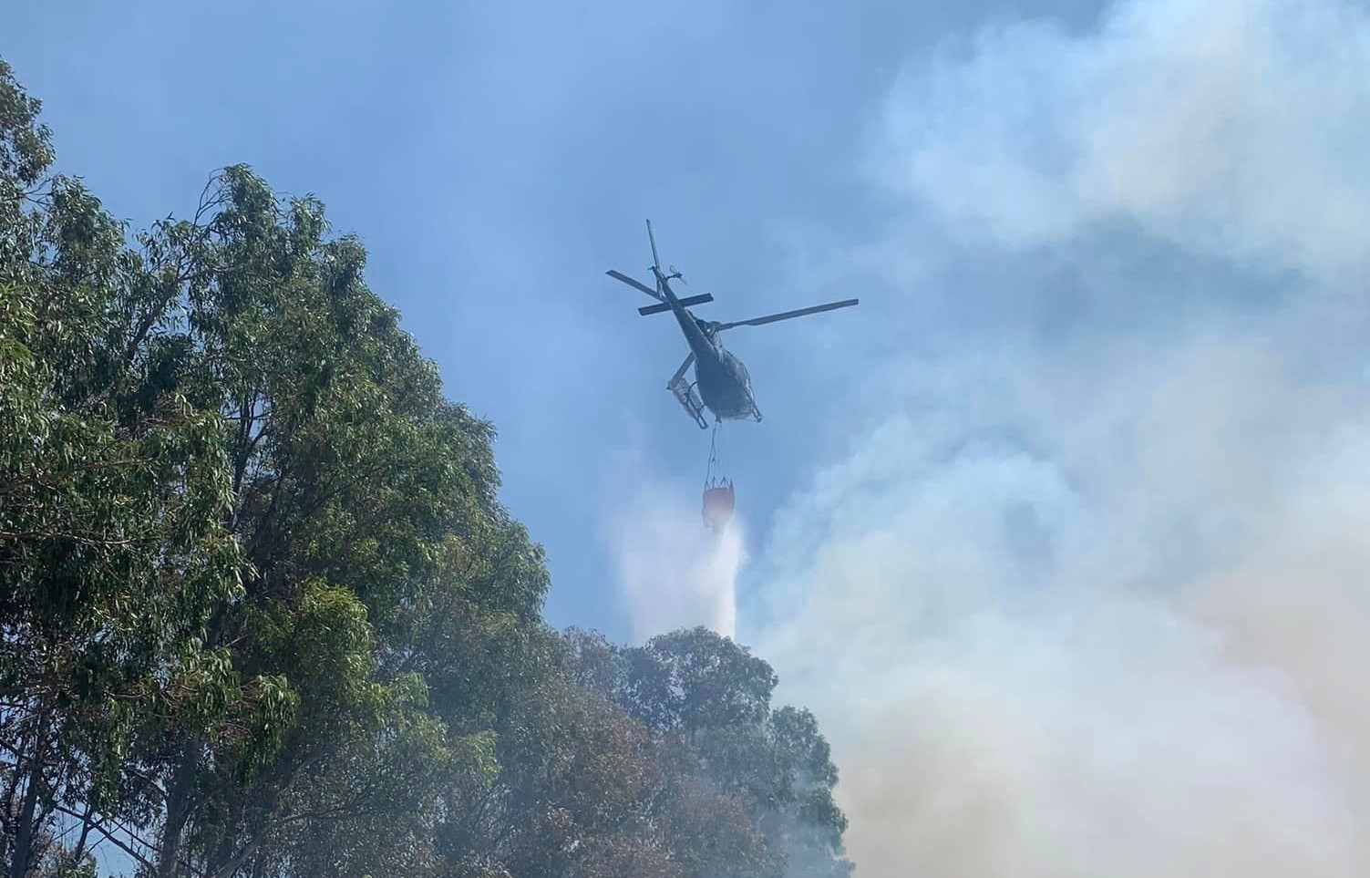 CASTIADAS, Violento incendio a Cala Pira, in azione elicotteri e Canadair