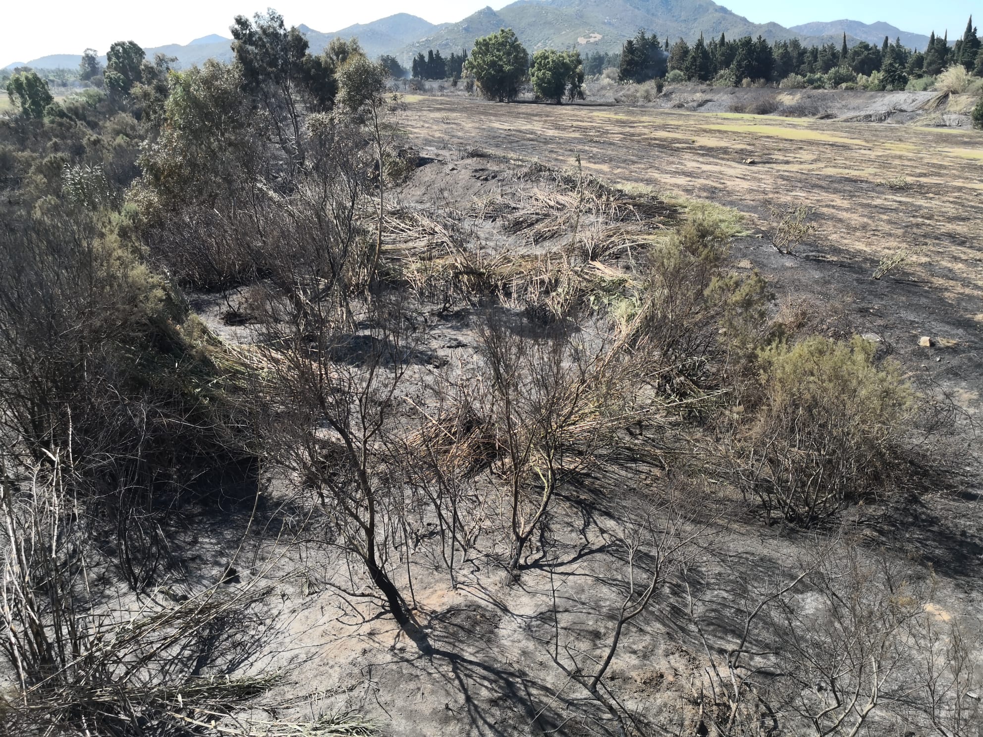 SAN VITO, La giunta dichiara lo stato di calamità per gli incendi dei giorni scorsi a San Priamo