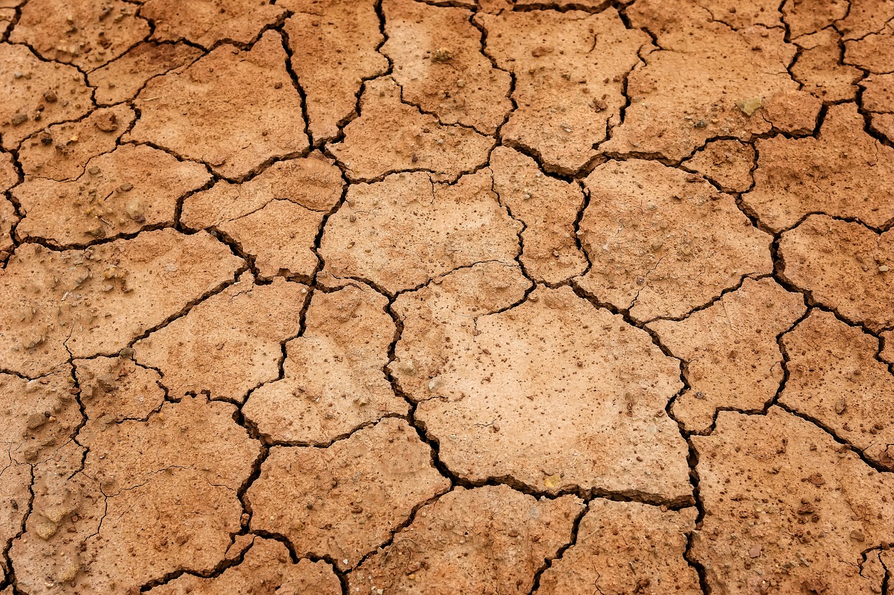MURAVERA, La siccità non fa sconti, proclamato stato di calamità naturale