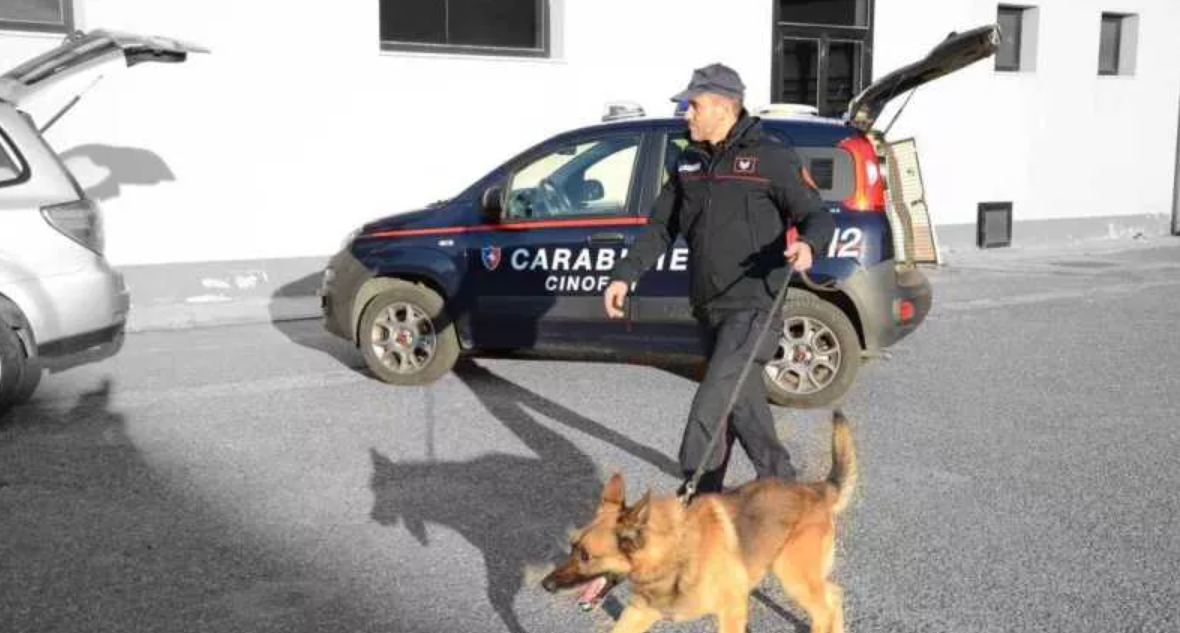 VILLASIMIUS, Cane legato a corda di pochi centrimetri, proprietario denunciato per maltrattamenti