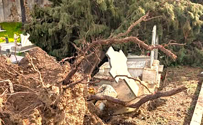 MURAVERA, Cimitero del paese chiuso, il vento ha sradicato alberi e danneggiato sepolture