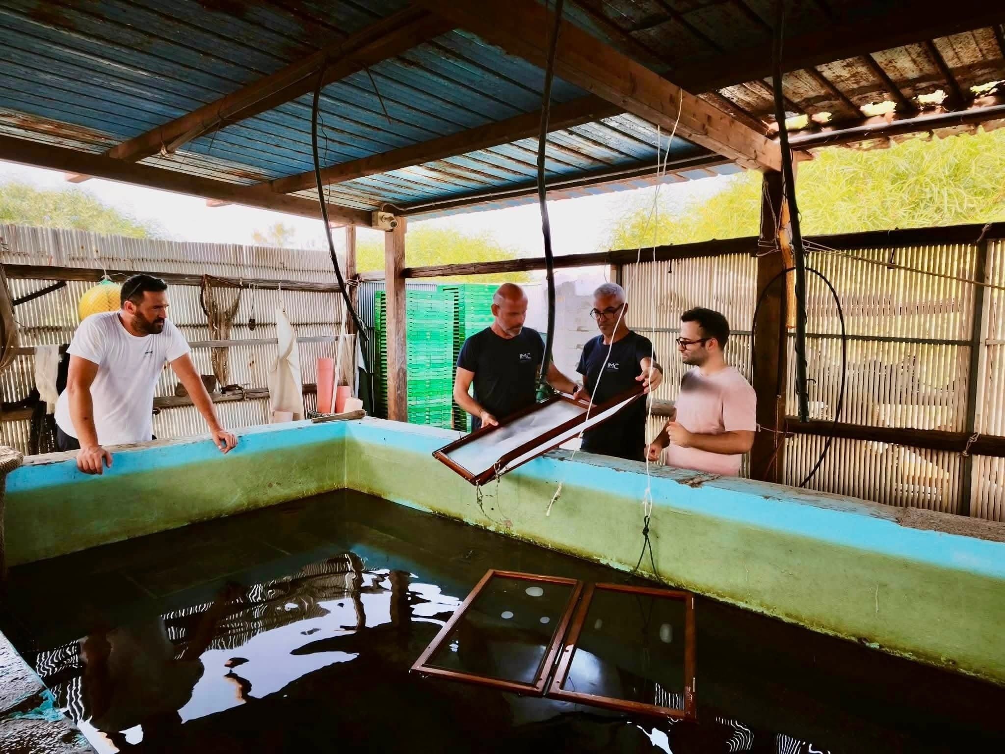 MURAVERA, Arselle: al via il ripopolamento della laguna di San Giovanni