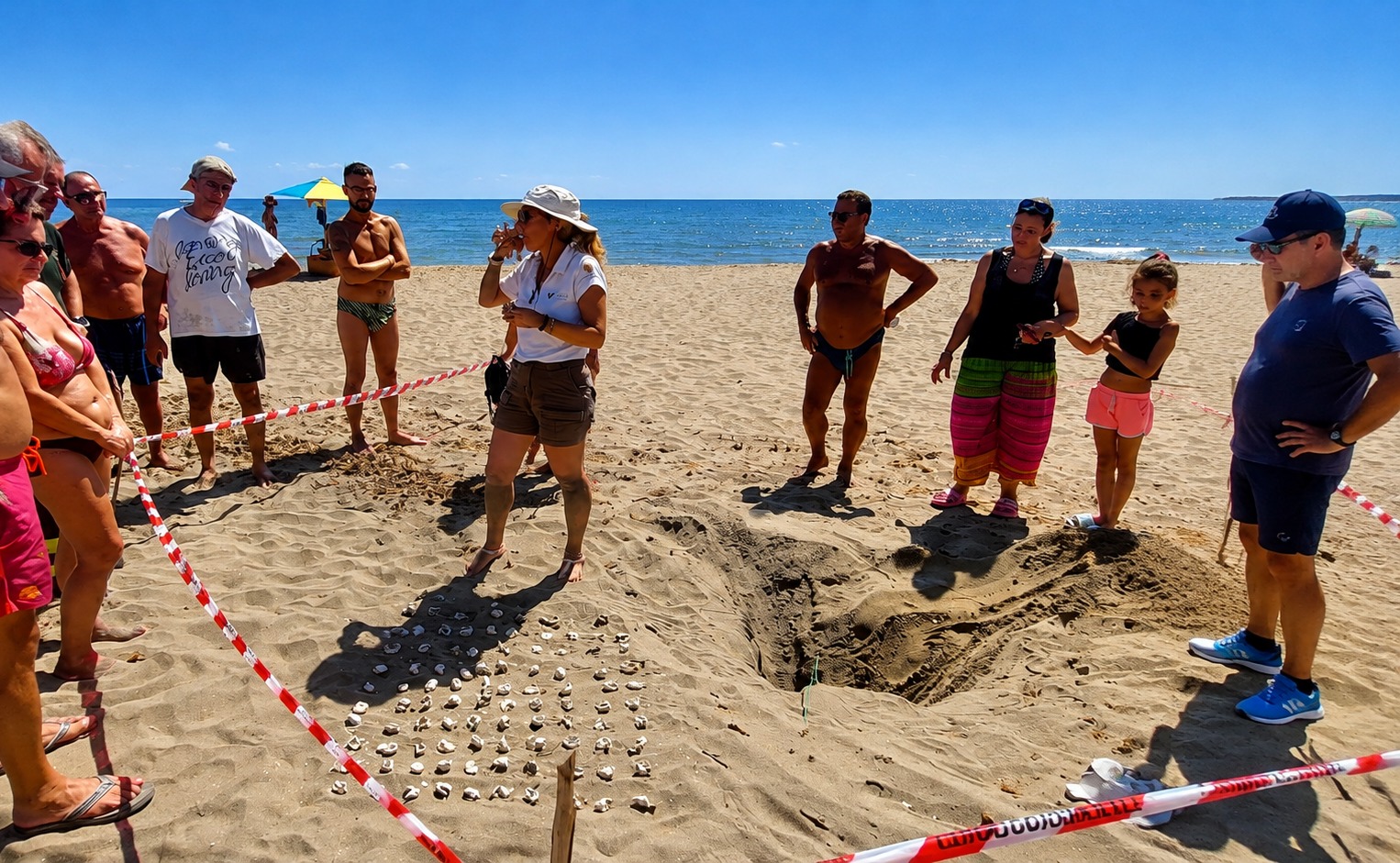MURAVERA, Cristolaxedu: schiusa da record per la Caretta caretta, nati 100 esemplari